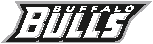 Buffalo Bulls 2007-Pres Wordmark Logo iron on transfers for T-shirts
